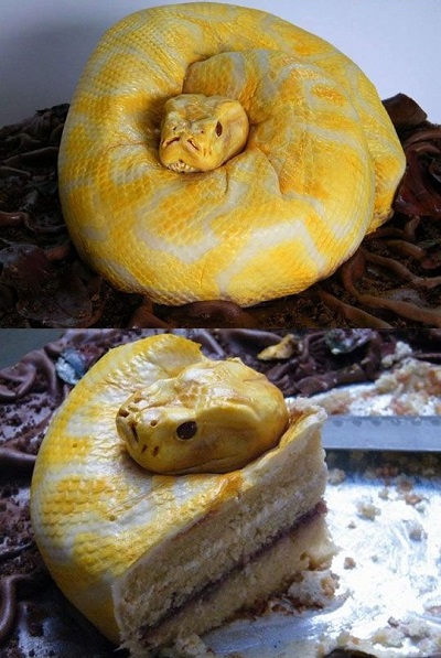 kígyós torta